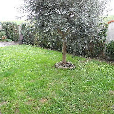 Greenriver 3* Ponsacco